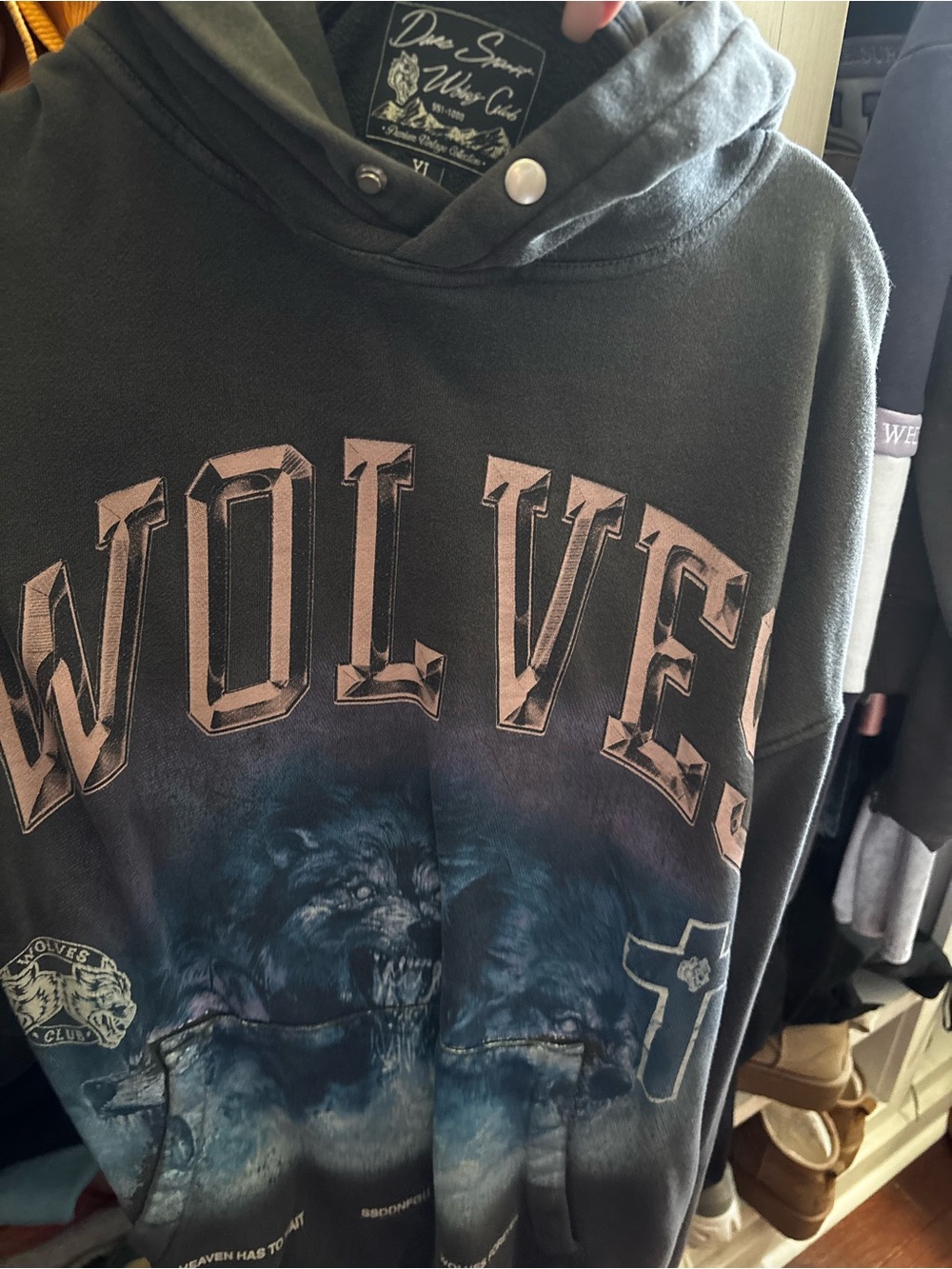 Darc Sport Wolves Graphic Hoodie